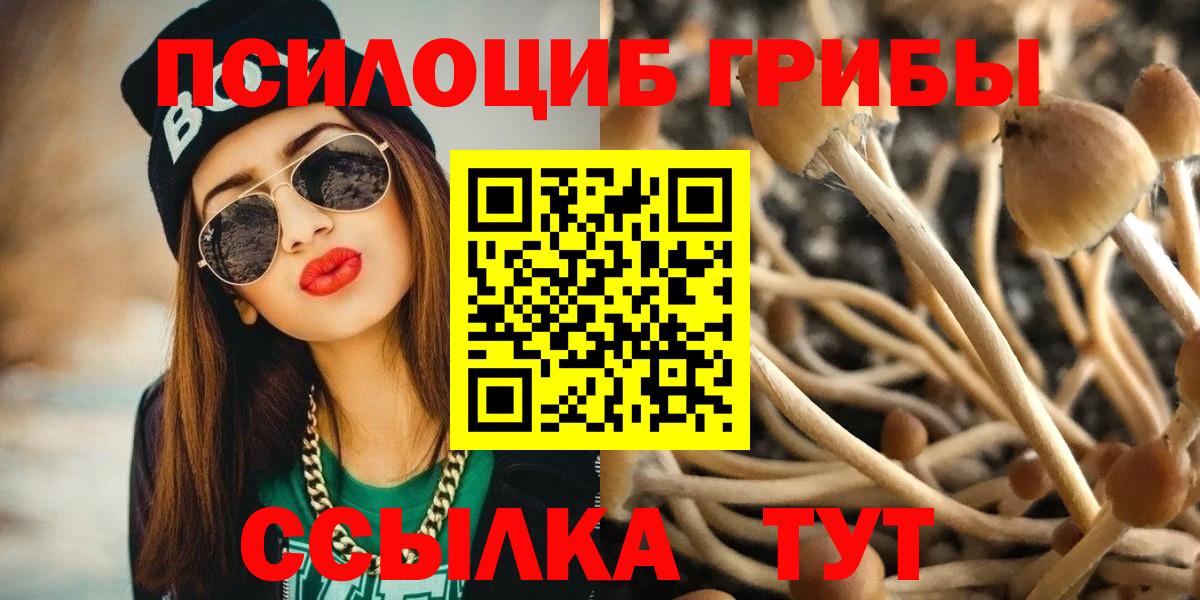 Псилоцибиновые грибы ЛСД Малгобек