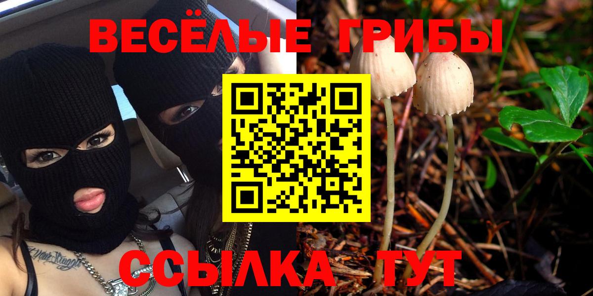 Малгобек  Галлюциногенные грибы мухоморы  Вход с VPN 